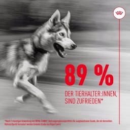 Royal Canin Joint & Ageing Chews Adult Supplements - 240 g
