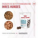Royal Canin Joint & Ageing Chews Adult Supplements - 240 g