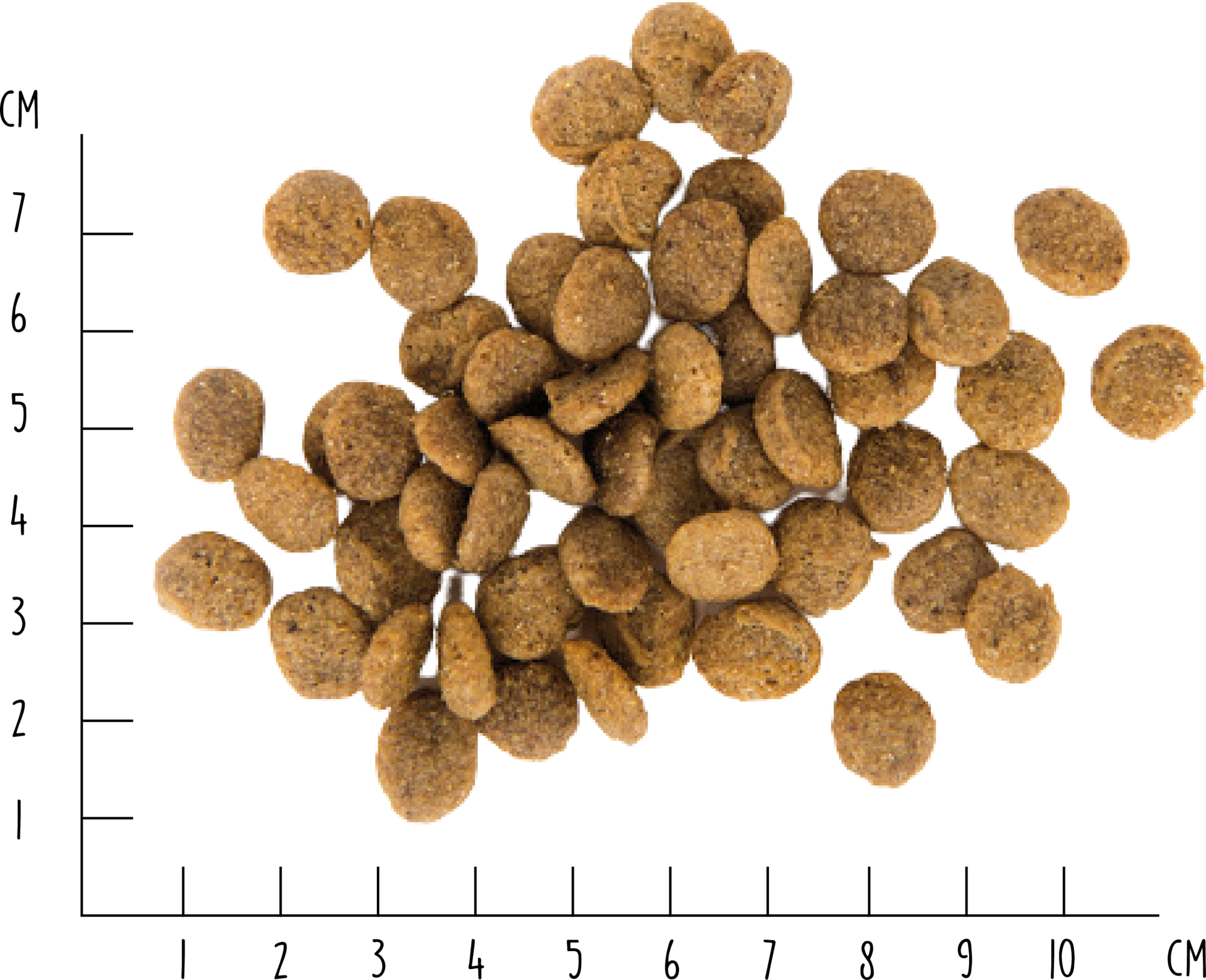 VEGDOG Green Crunch - 10 kg