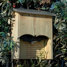 Esschert Design Silhouette Bat Box