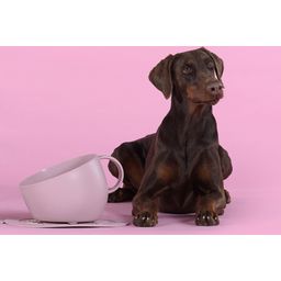 United Pets CUP - Hundenapf - pink