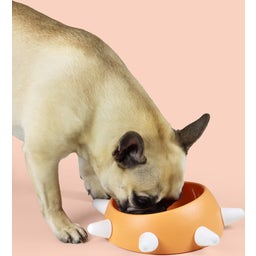 United Pets BOSS - Hundenapf klein - orange/weiß