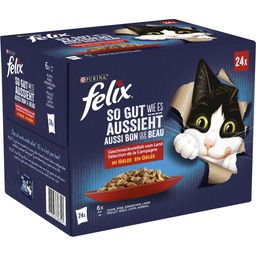 Felix Fantastic - Mesni izbor, 24 x 85 g