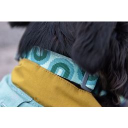 Ruffwear Crag™ pasja ovratnica, Grassy Oxbow