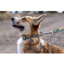 Ruffwear Collare per Cani Crag™ - Rising Wave