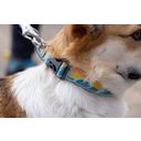 Ruffwear Crag™ Hundehalsband Rising Wave