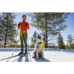 Ruffwear Omnijore™ Joring System - Lichen Green