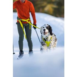 Ruffwear Omnijore™ Joring System, Lichen Green