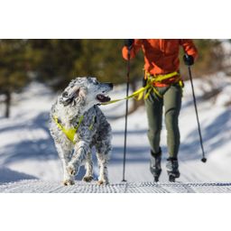 Ruffwear Omnijore™ Joring System - Lichen Green