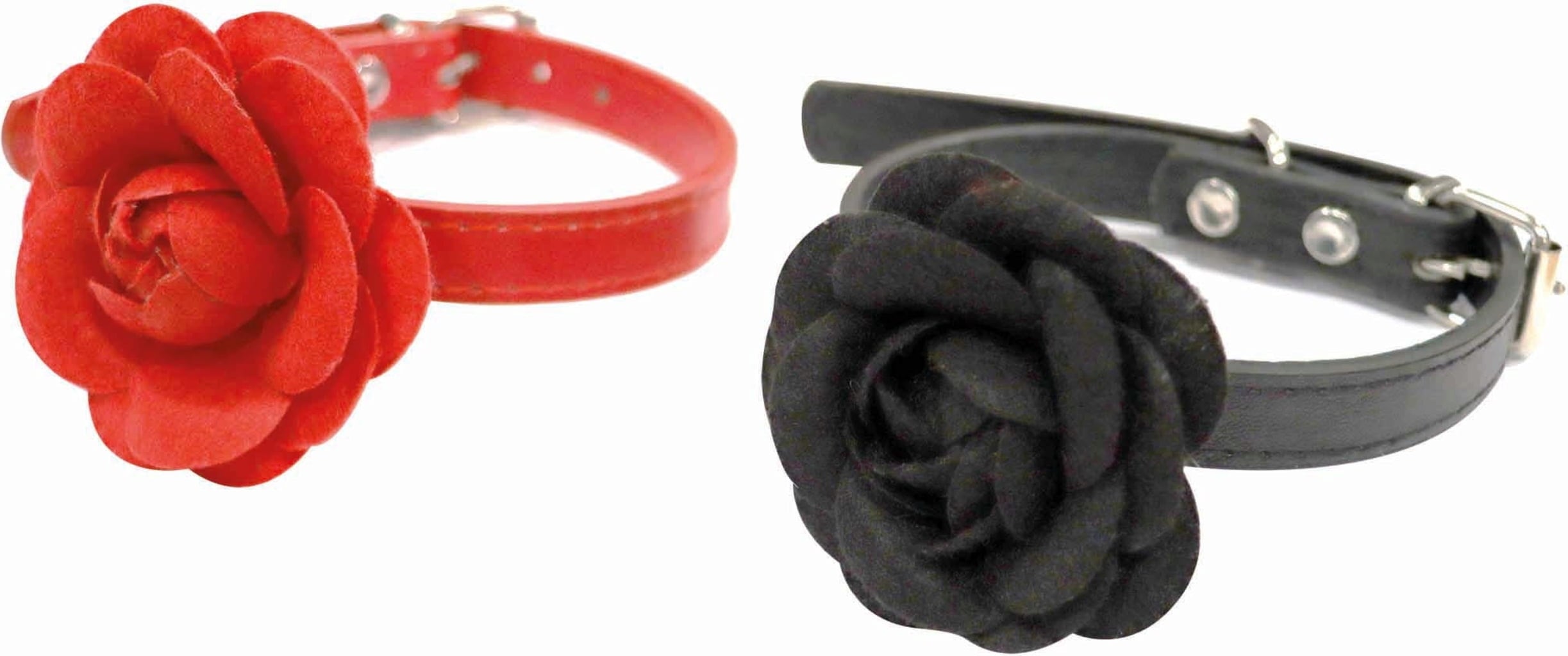 Croci Halsband schwarze Rose
