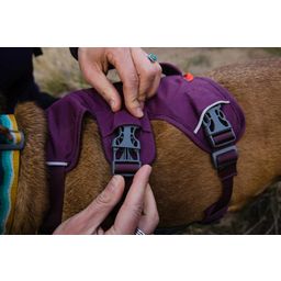 Ruffwear Web Master oprsnica za pse, Purple Rain - XS