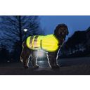 beeztees Cappotto Riflettente Giallo - Teddie - 30