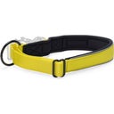 Ovratnica LED Safety Gear Parinca Premium - 50-55 x 2,5 cm