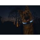 Collare Visio Light LED per Cani a Pelo Lungo - Blu - 1 pz.