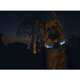 Karlie Halsband Visio Light LED Langhaar blau - 1 Stk
