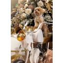 Croci XMAS Pettorina Gold Dream - XS