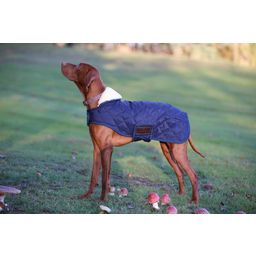 Kentucky Dogwear Dog Coat, Navy