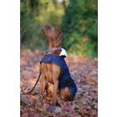 Kentucky Dogwear Hundemantel navy