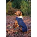 Kentucky Dogwear Dog Coat, Navy