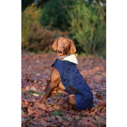 Kentucky Dogwear Dog Coat, Navy