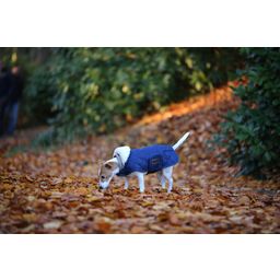 Kentucky Dogwear Dog Coat, Navy