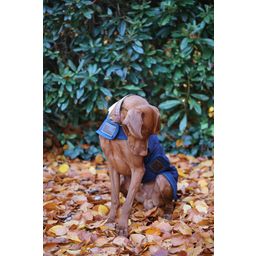 Kentucky Dogwear Dog Coat, Navy