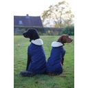 Kentucky Dogwear Hundemantel navy