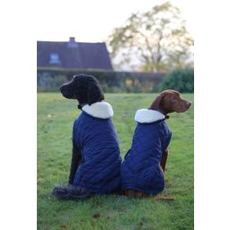 Kentucky Dogwear Dog Coat, Navy