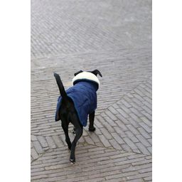 Kentucky Dogwear Dog Coat, Navy