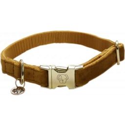 Kentucky Dogwear Dog Collar Velvet, Mustard