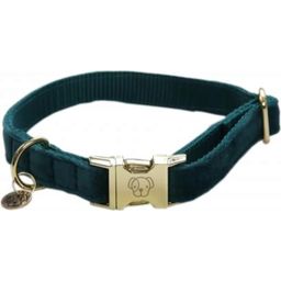 Kentucky Dogwear Hundehalsband 