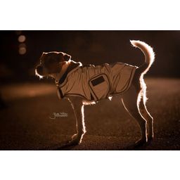 Kentucky Dogwear Vízlepergető kutyakabát ezüst