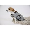 Kentucky Dogwear Wasserabweisender Hundemantel silber