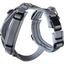 Kentucky Dogwear Hundegeschirr active reflective