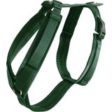 Kentucky Dogwear Hundegeschirr velvet pine green