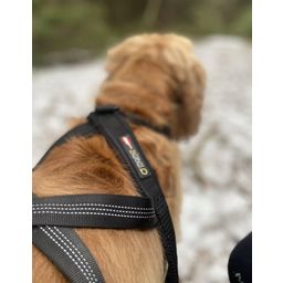 mamo pet sports Oprsnica iX harness®