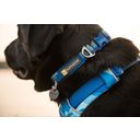 Ruffwear Collare Front Range™ - Coastal Fade - 51 - 66 cm