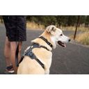 Ruffwear Pettorina Front Range® - Basalt Gray - L / XL