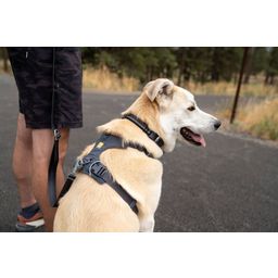 Ruffwear Front Range kutyahám - Basalt Gray - XS