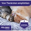 Feliway Friends 3x30 Tage Vorteilspackung - 1 Pkg