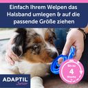 Adaptil Junior Halsband - 1 Stk