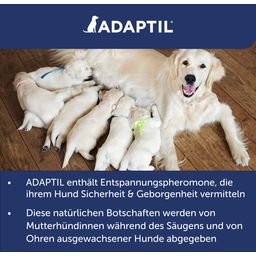 Adaptil Junior Halsband - 1 Stk