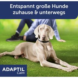 Adaptil Calm Halsband große Hunde - 1 Stk