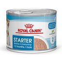Royal Canin Pasja hrana Starter Mousse 12x195 g - 2.340 g
