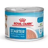 Royal Canin Starter Mousse 12x195 g