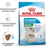 ROYAL CANIN Mini Starter Mother & Babydog