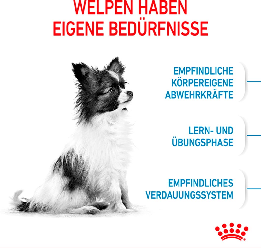 Royal Canin X-Small Puppy - 3 kg