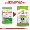 Royal Canin X-Small Adult 8+ - 3 kg