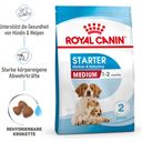 Royal Canin Pasja hrana Medium Starter - 15 kg