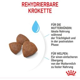 Royal Canin Medium Starter - 15 kg